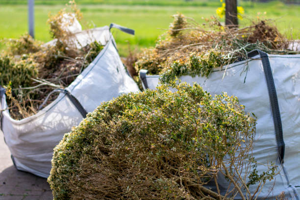 Best Professional Junk Removal  in Prescott, AR